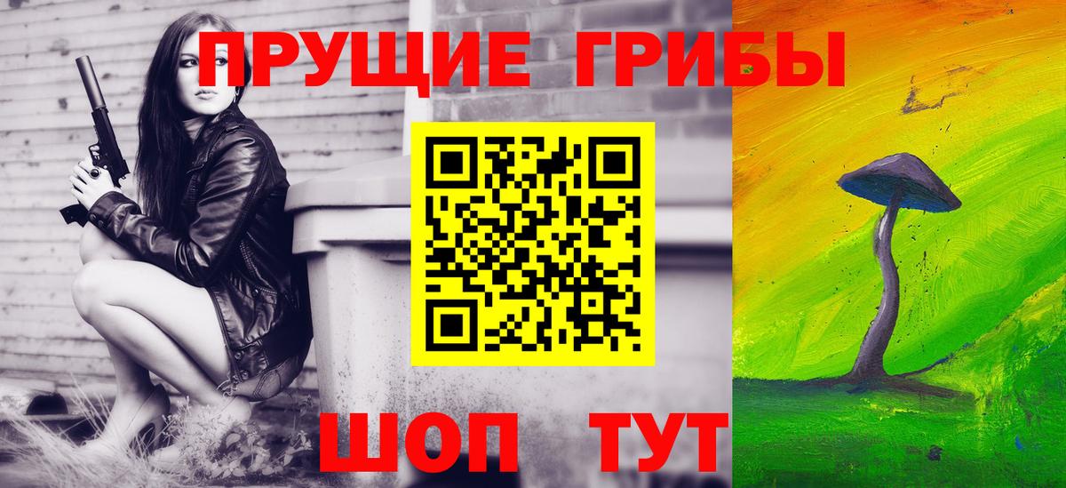 Заволжье  Галлюциногенные грибы Cubensis  Вход с VPN 
