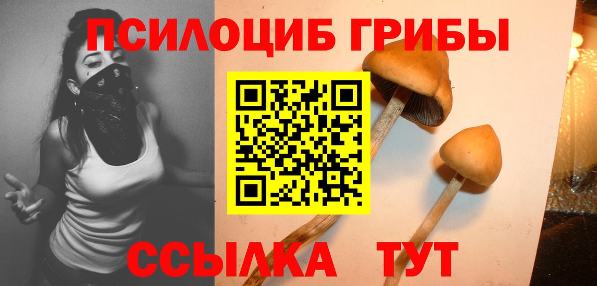 Галлюциногенные грибы MAGIC MUSHROOMS Заволжье